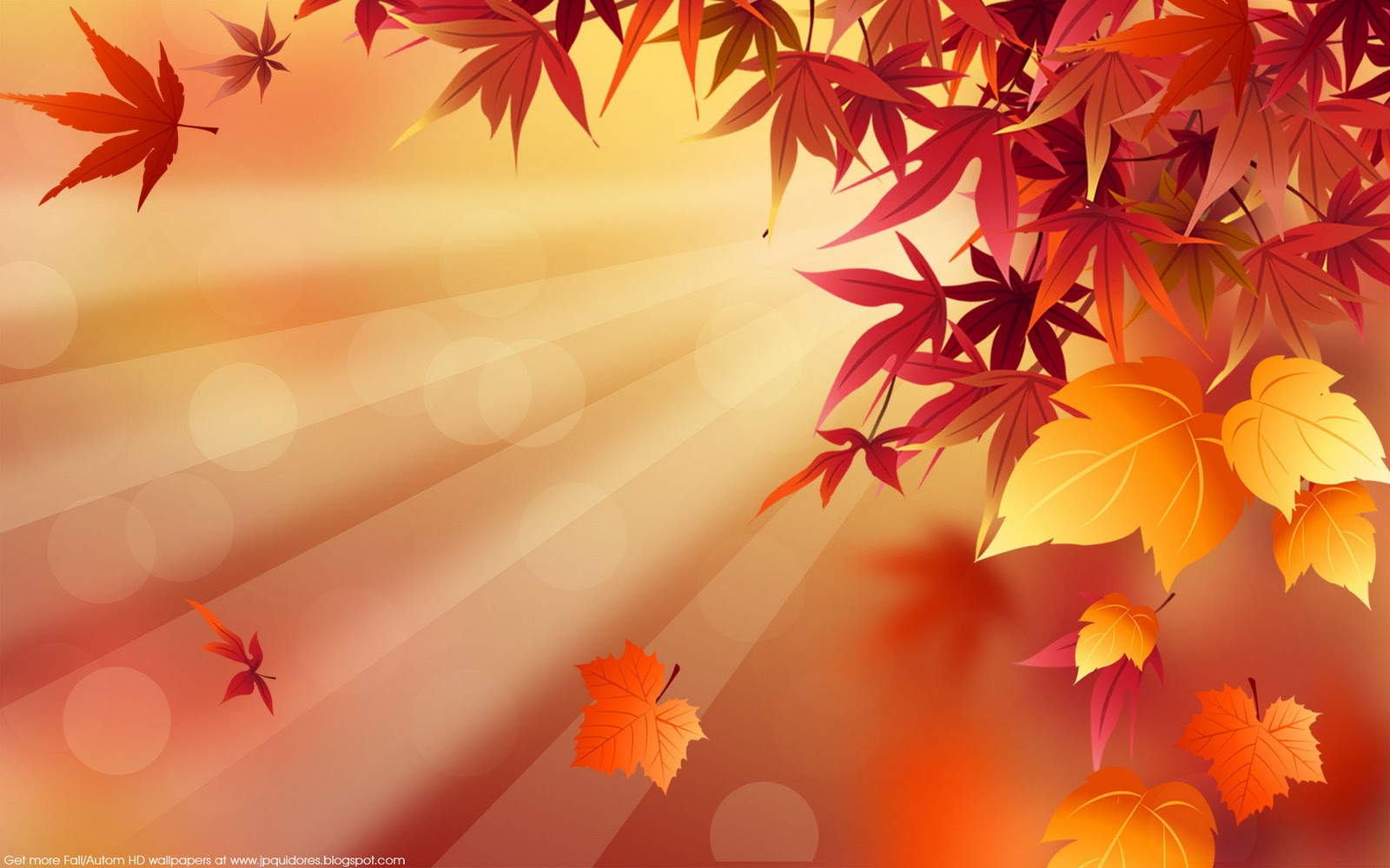 Kids Under Fall Wallpaper For Desktop
