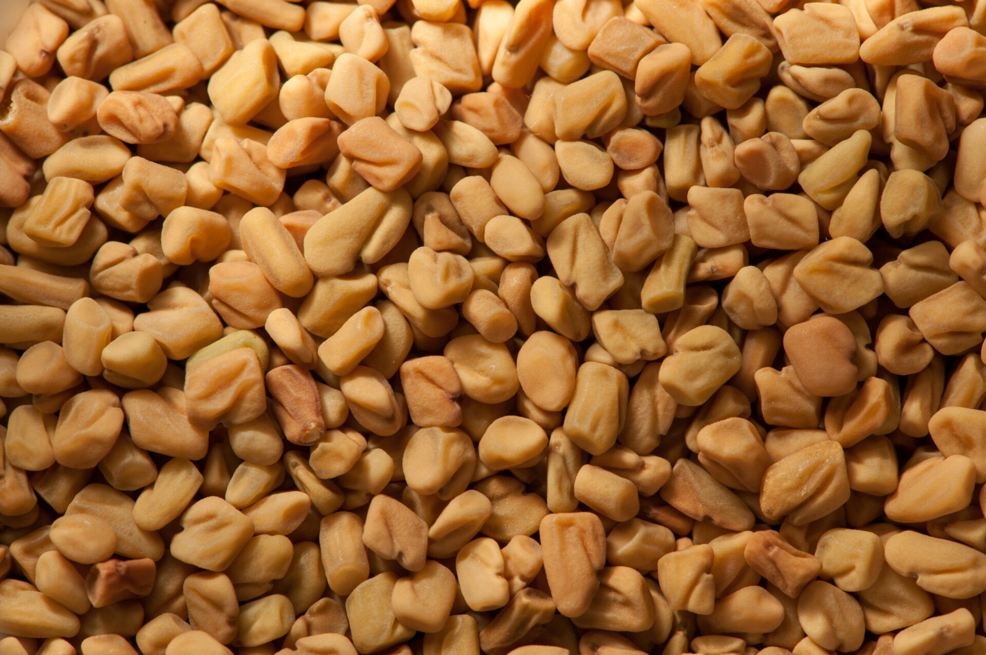 Fenugreek Wallpaper