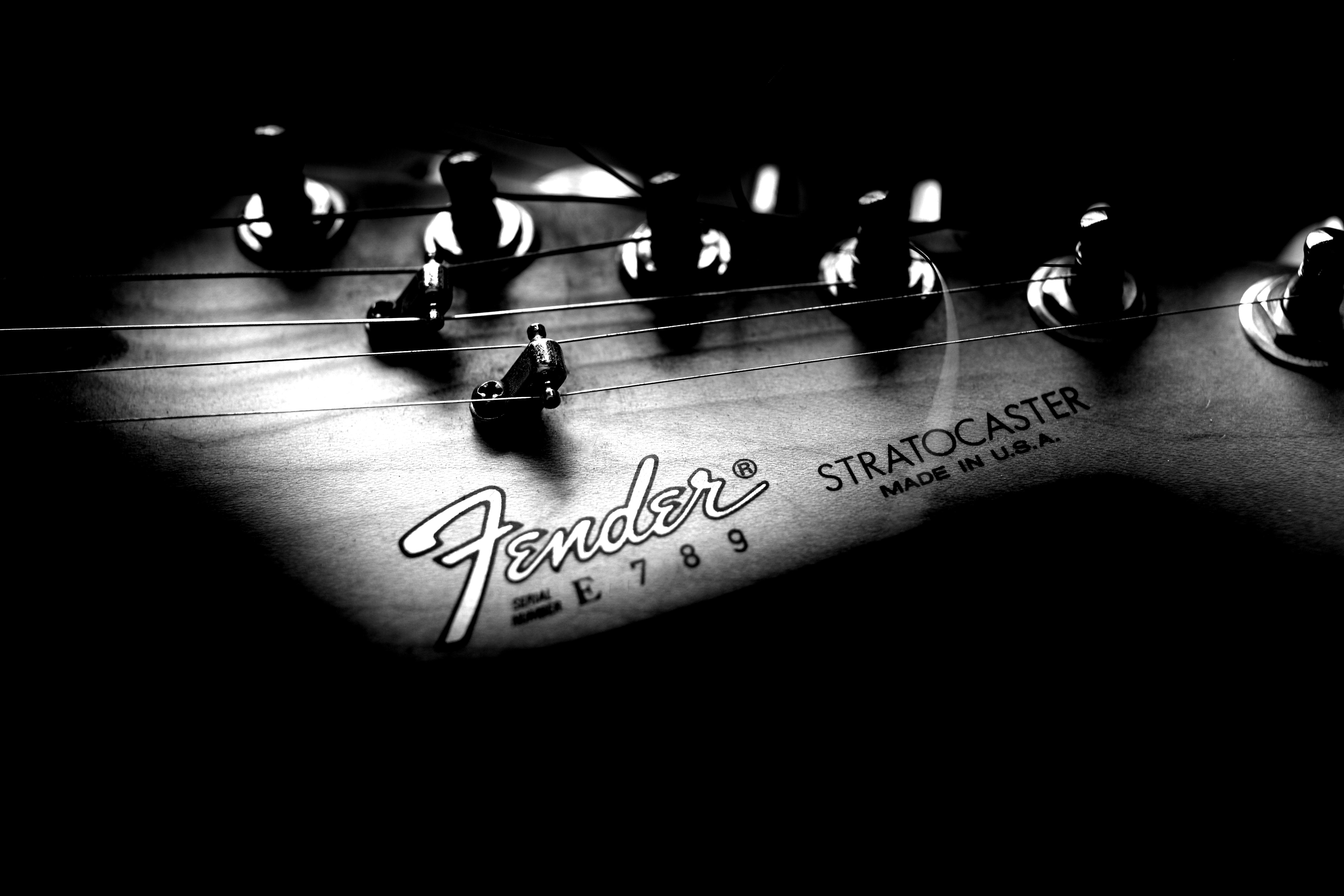 Fender Wallpaper Related Keywords Amp Suggestions
