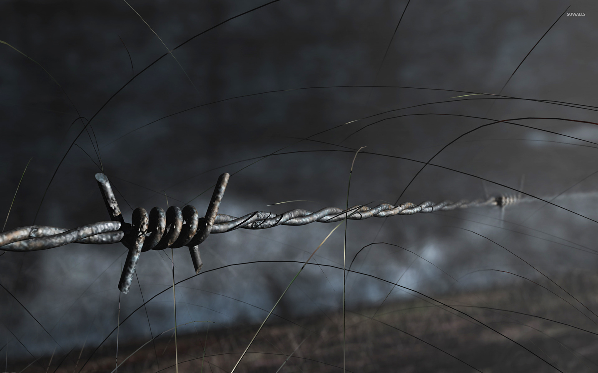 Barbed wire wallpapers HD  Download Free backgrounds