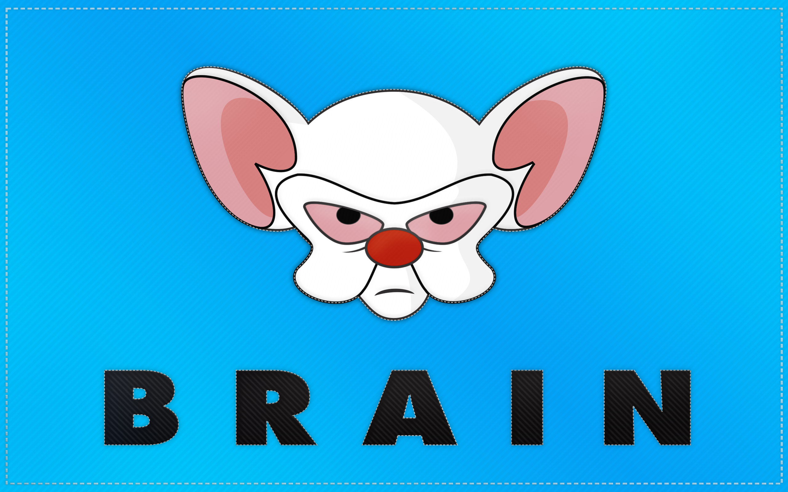 Pinky And The Brain Flag Wallpaper Dave S Geeky Ideas