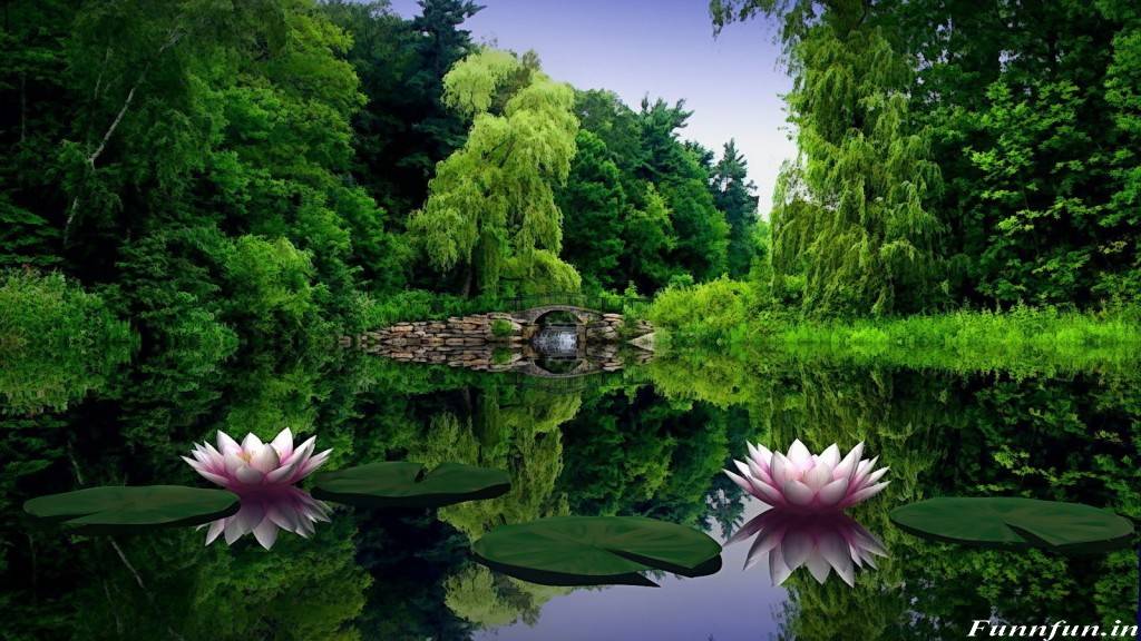 Full HD Nature Picture Wallpaper Funny Pictures Jokes