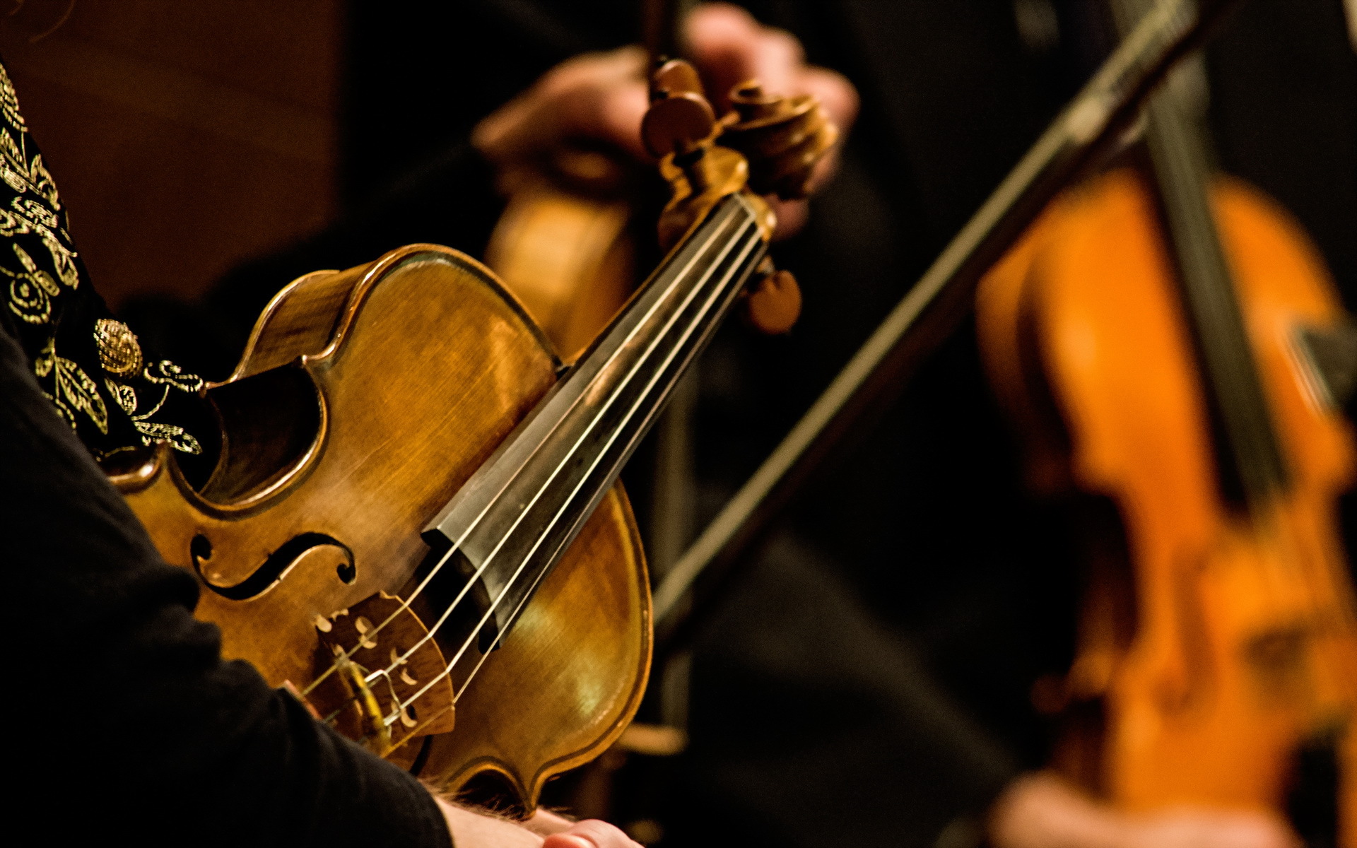 Entertainment Music Violin Musical Instrument Strings Wood