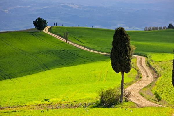 Country Road Winding Through A Scenic Field In The Tuscany Italy