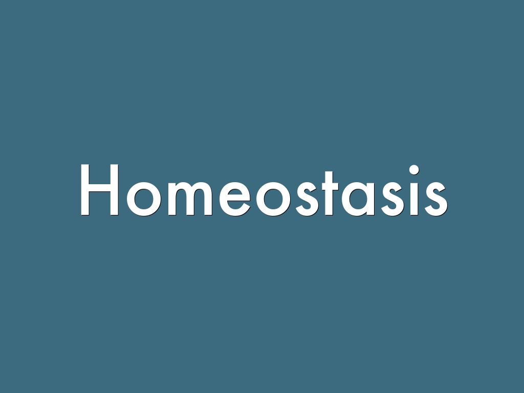 Homeostasis By