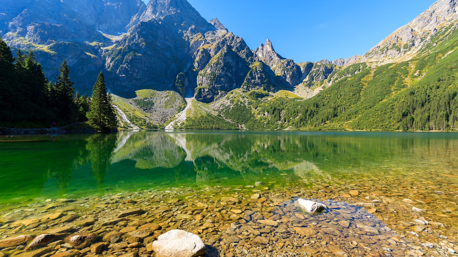 Wallpaper Sea Eye Lake Mountains Trees Poland Tatra National