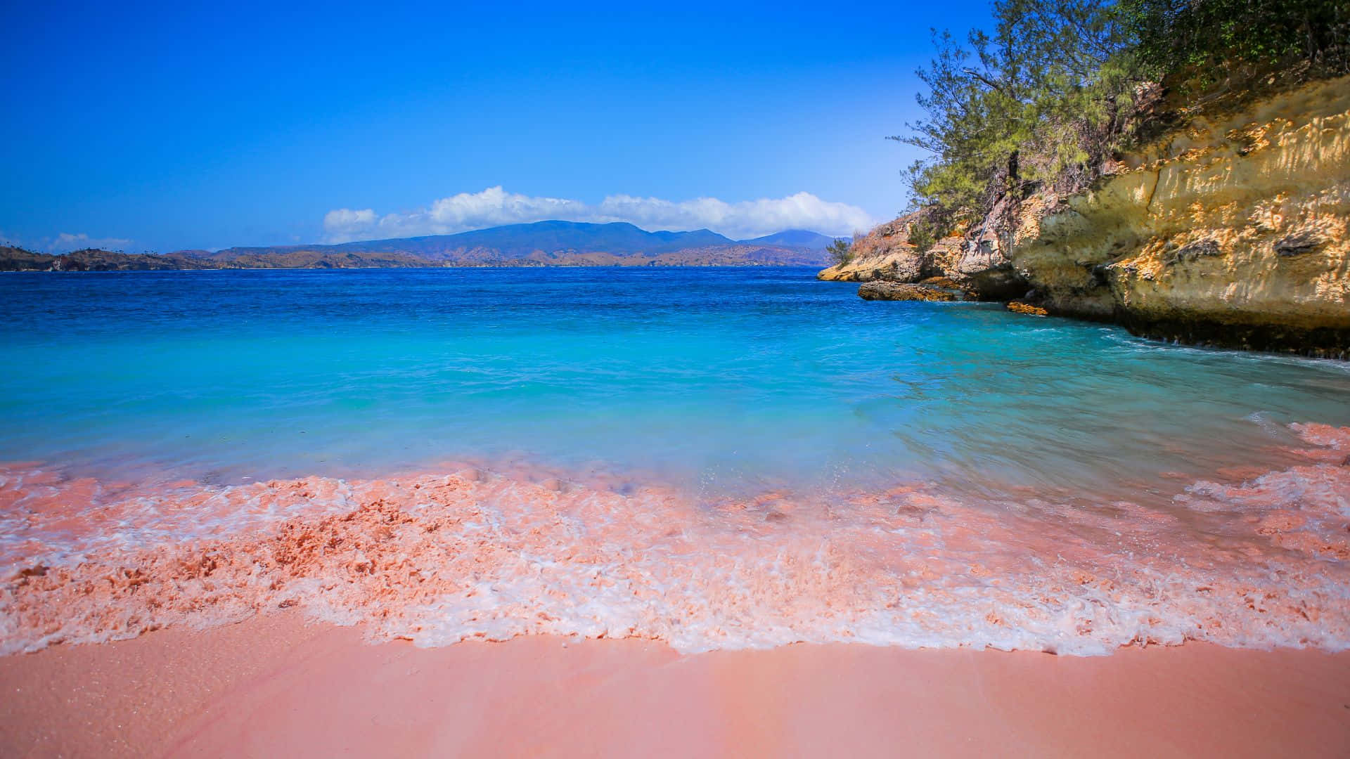 Pink Beach Wallpaper