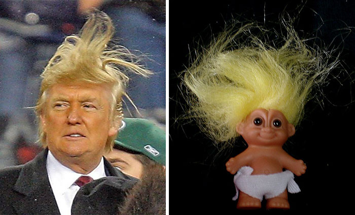 Things That Look Just Like Donald Trump Pics Picsdoor