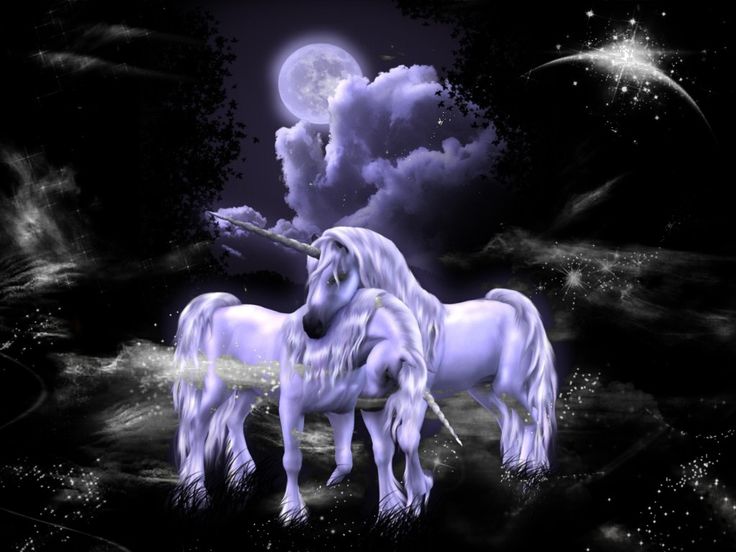 uncorns Unicorns in love animals fantasy love unicorns