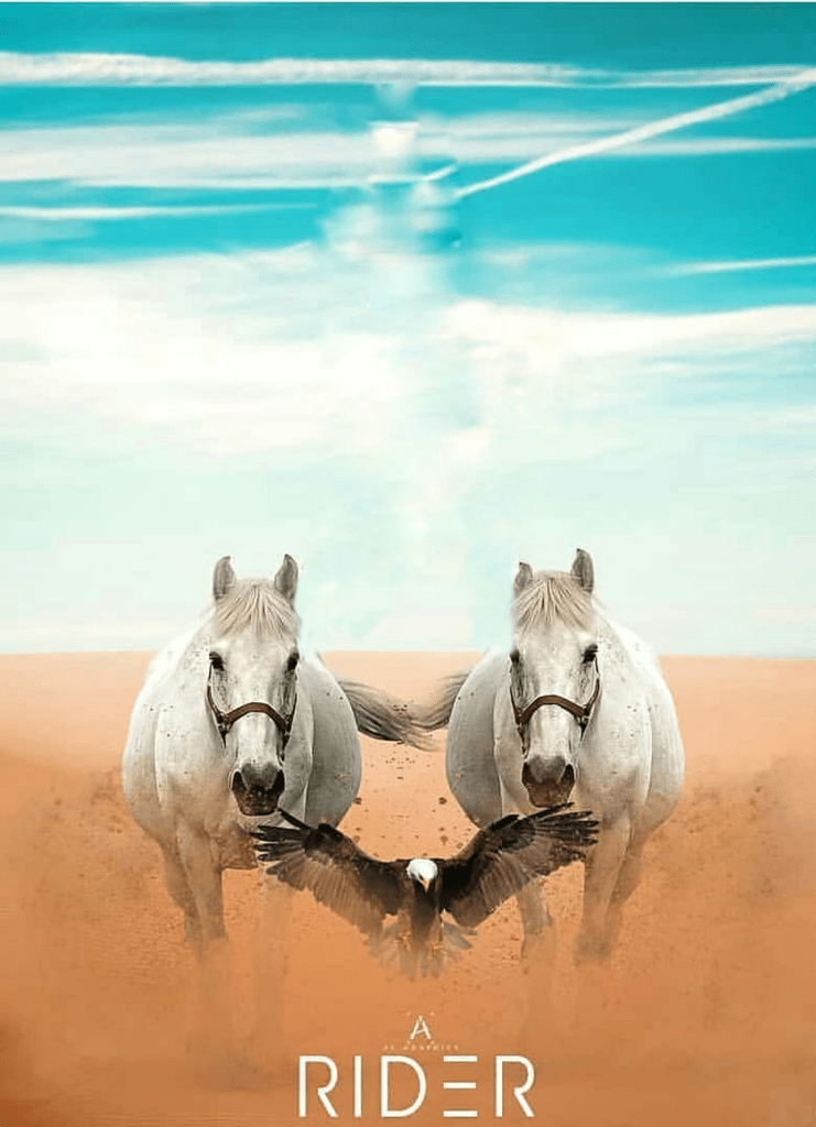Free Download Cb Background Hd Photo Editing Hd Background Download Picsart 741x1024 For Your Desktop Mobile Tablet Explore 45 Background Horse Horse Wallpaper Horse Background Horse Backgrounds