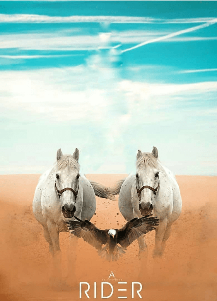 Free download CB Background HD Photo editing Hd background download Picsart  [741x1024] for your Desktop, Mobile & Tablet | Explore 45+ Background Horse  | Horse Wallpapers, Horse Background, Cool Horse Backgrounds