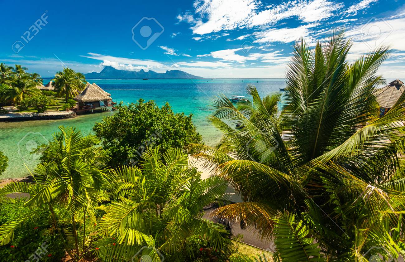 [51+] Moorea Backgrounds | WallpaperSafari