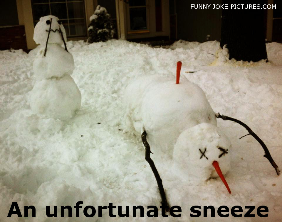 Funny Snowman Sneeze Accident Picture Joke Meme Pictures
