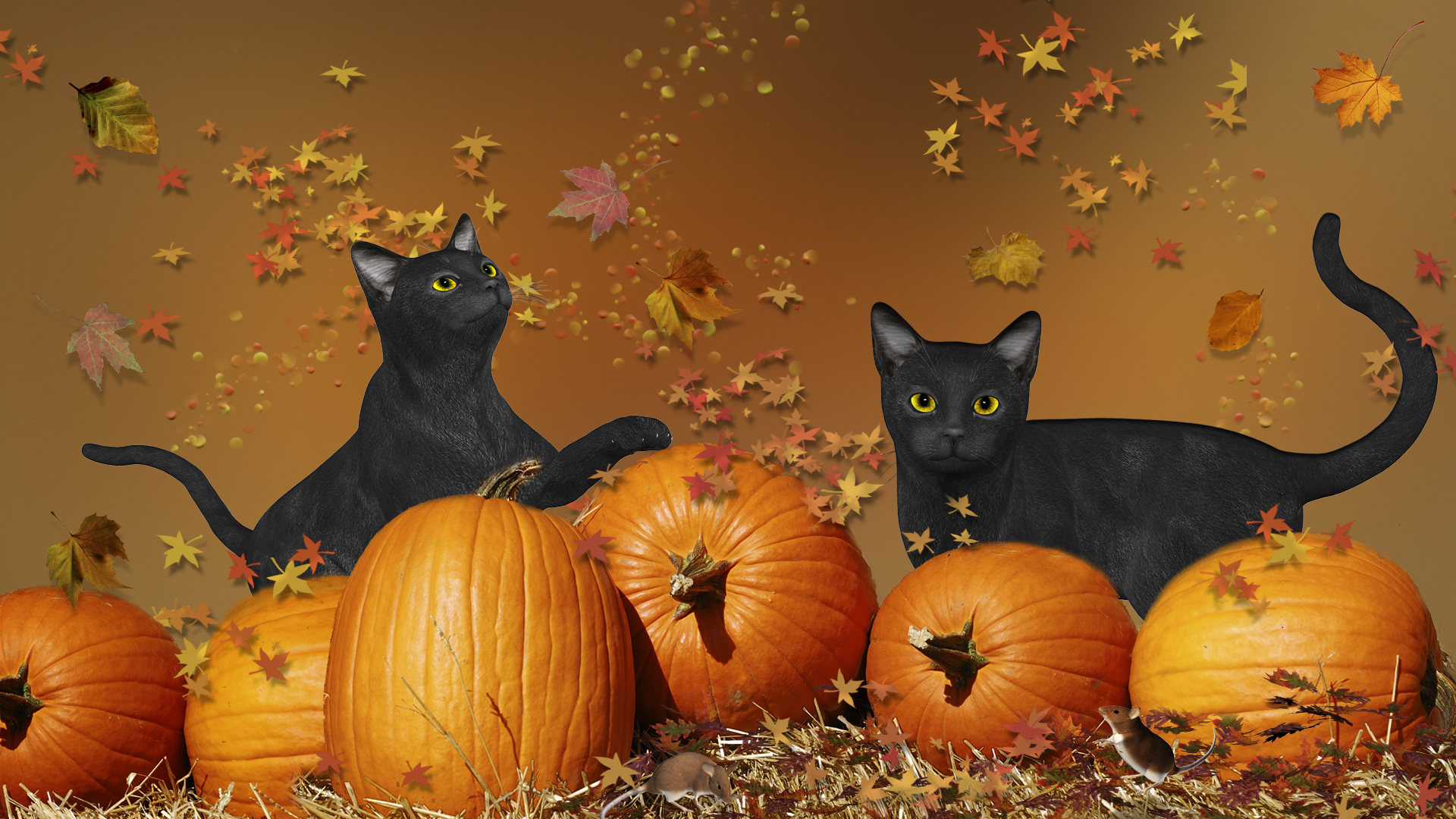 Halloween Black Cats By Frankief