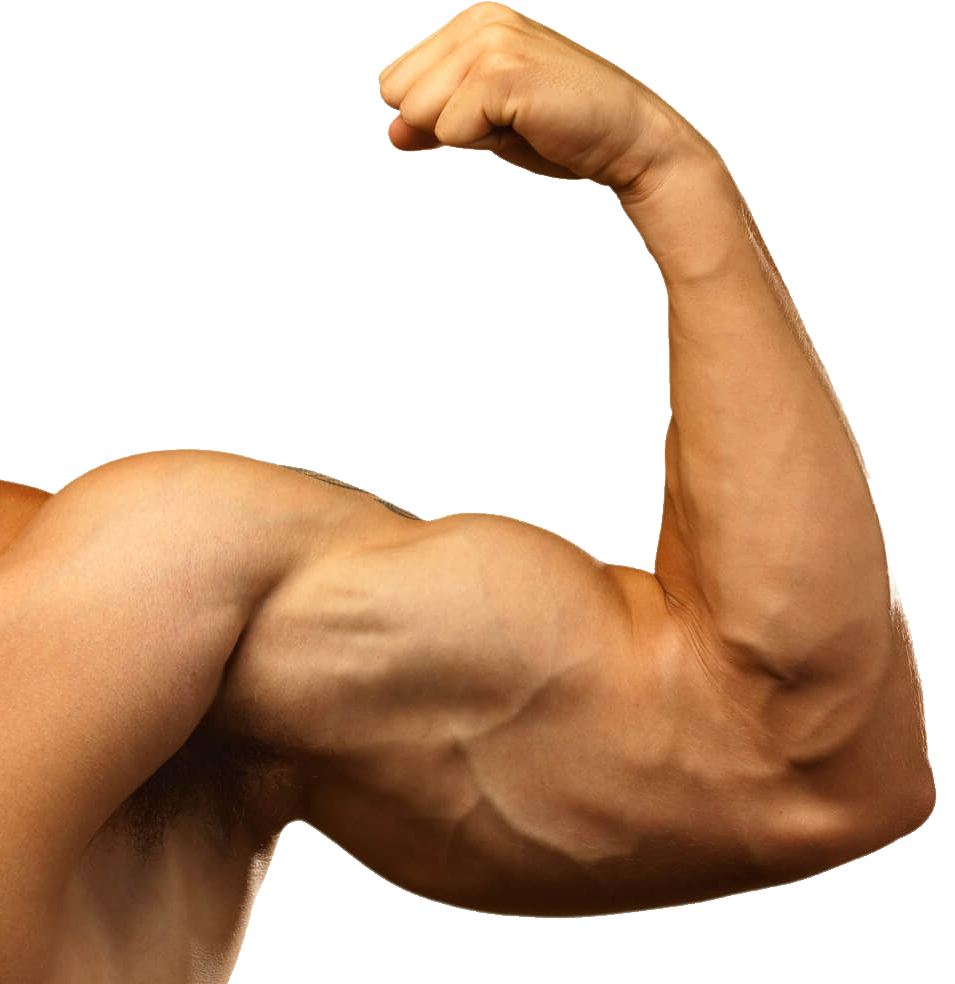 Muscle Arm Png Background Image Arts