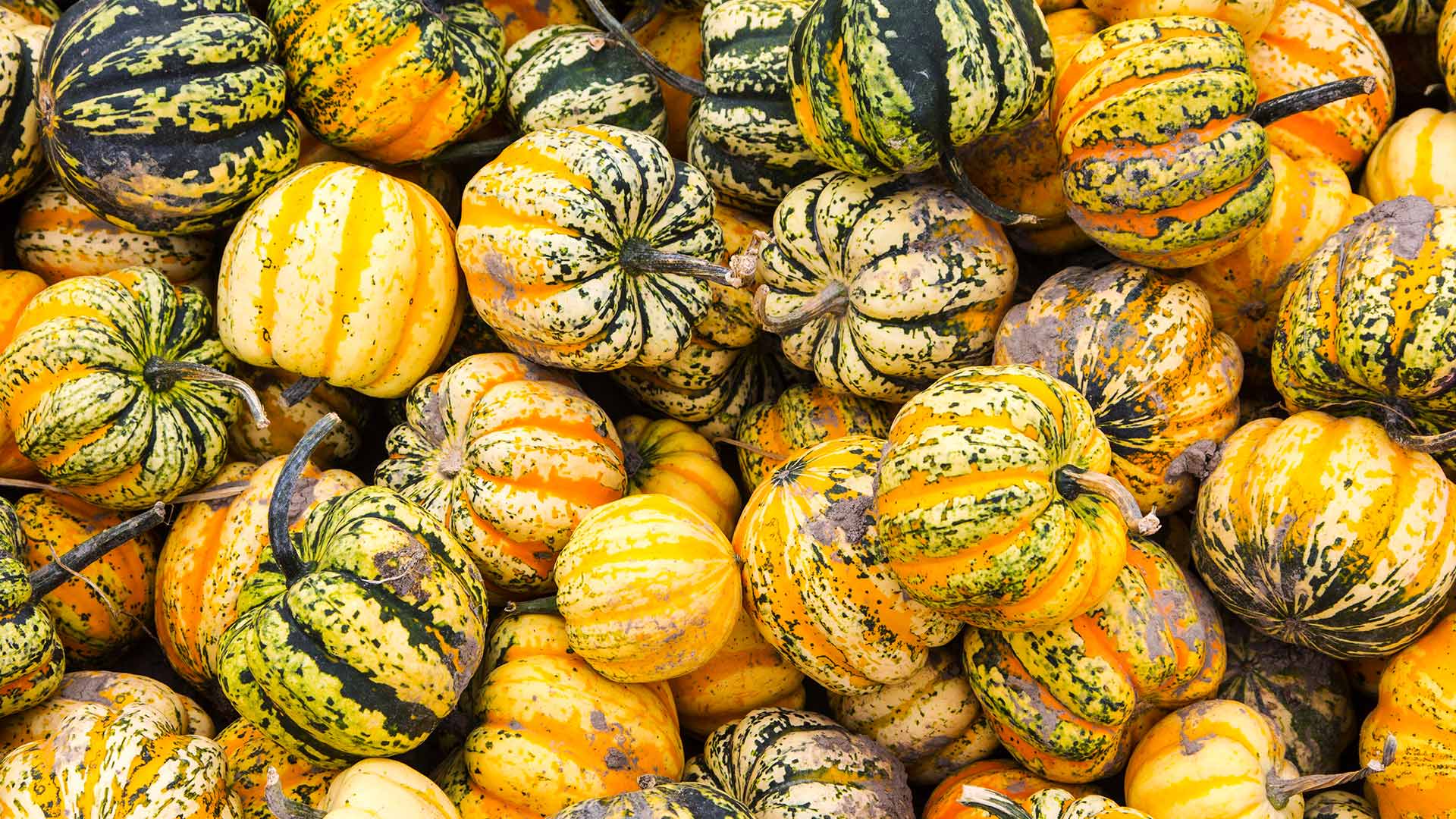 [45+] Wallpaper for Sale in Canada WallpaperSafari