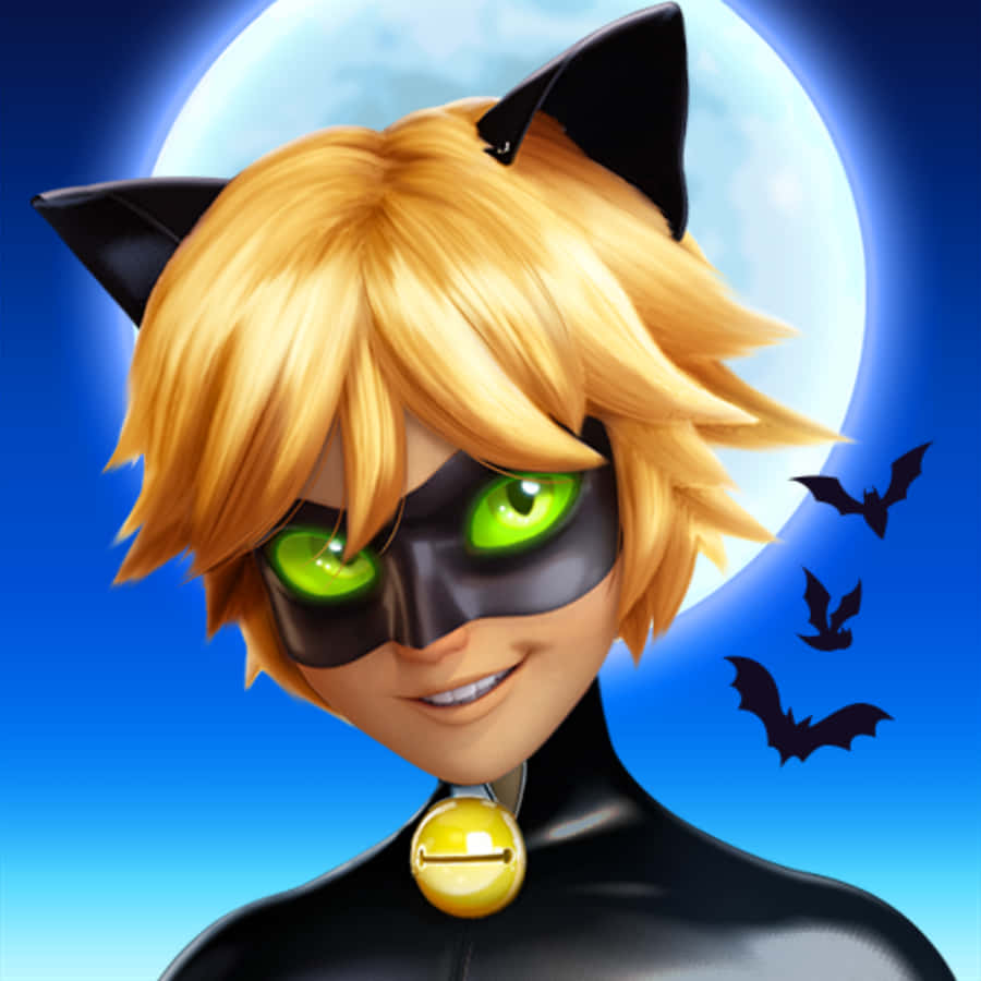 Cat Noir Picture Wallpaper