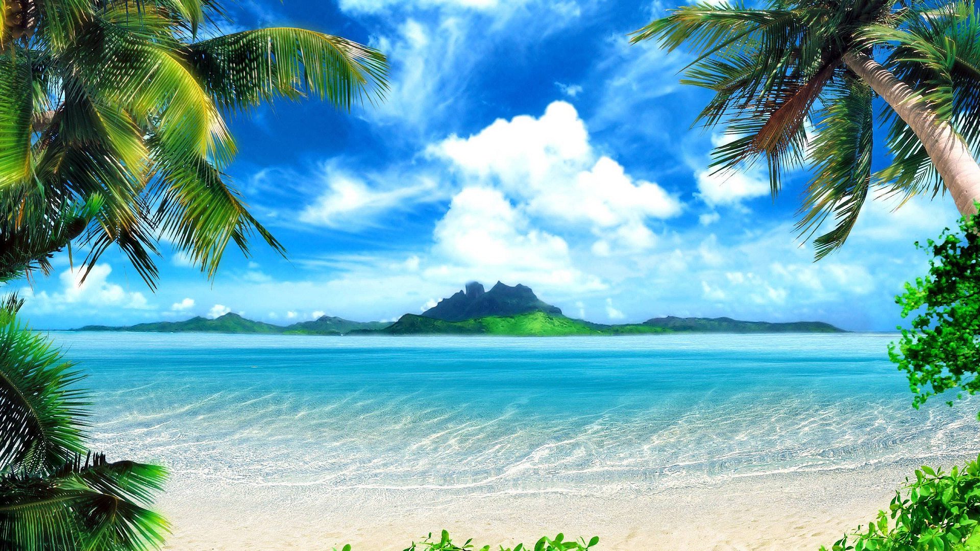 Nature Background Wallpaper