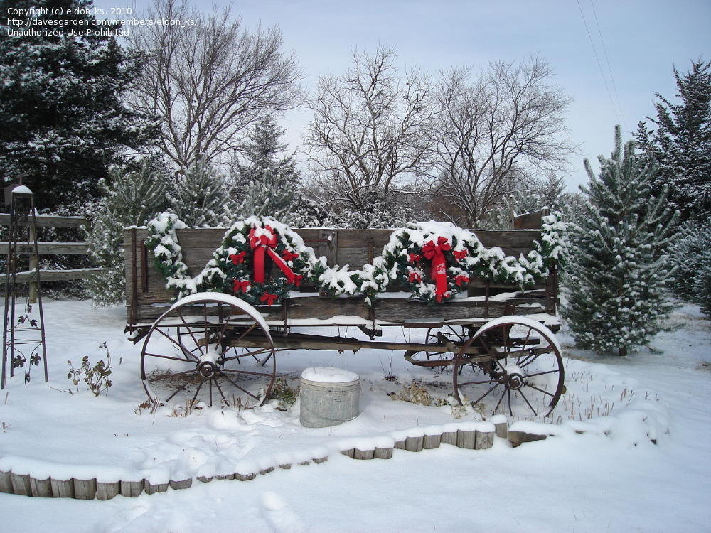 country christmas wallpaper