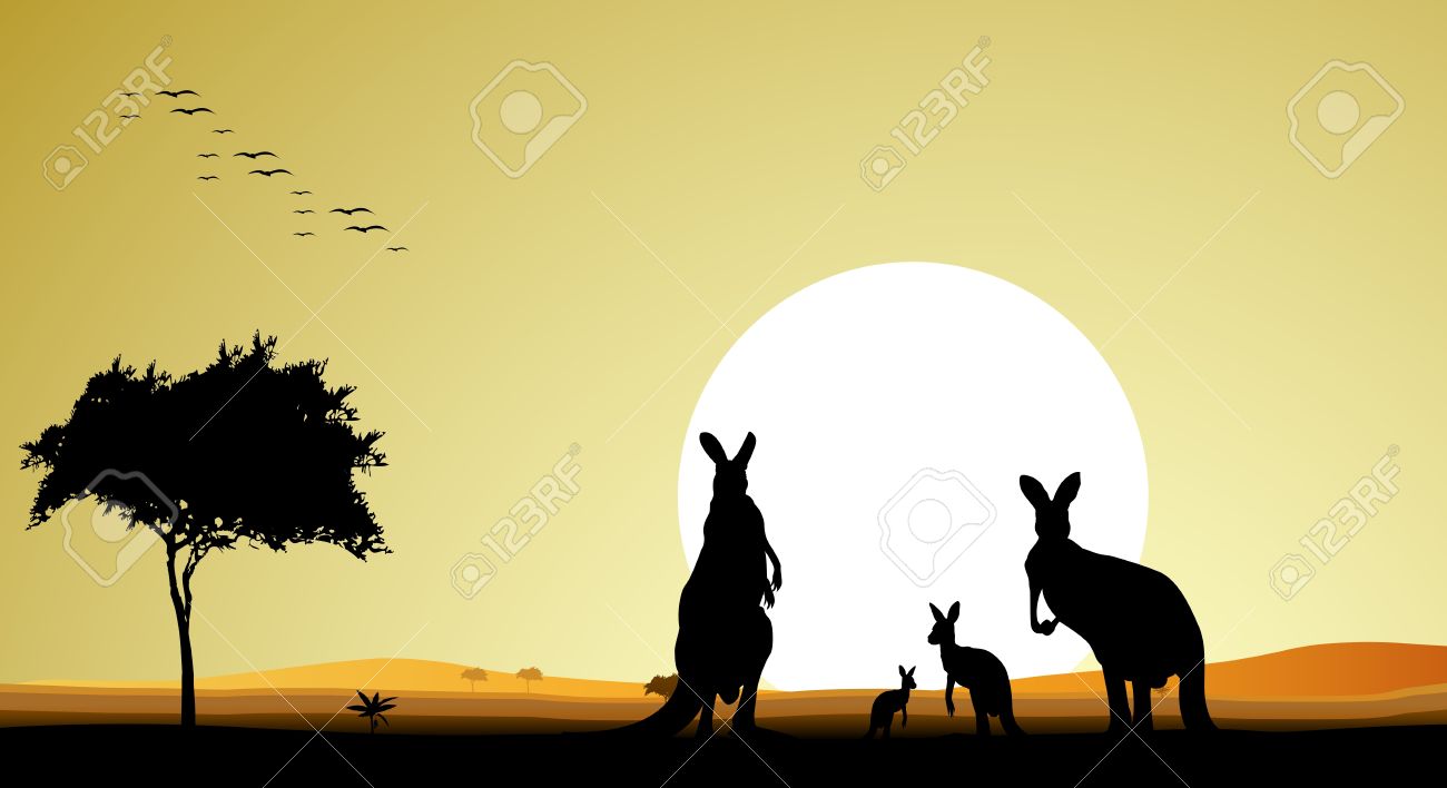 Beauty Kangaroo Family Silhouette With Sunset Background Royalty
