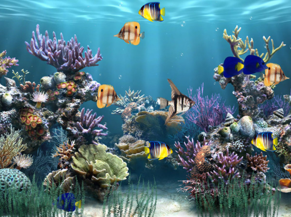 User Res Of Aquarium Animated Wallpaper