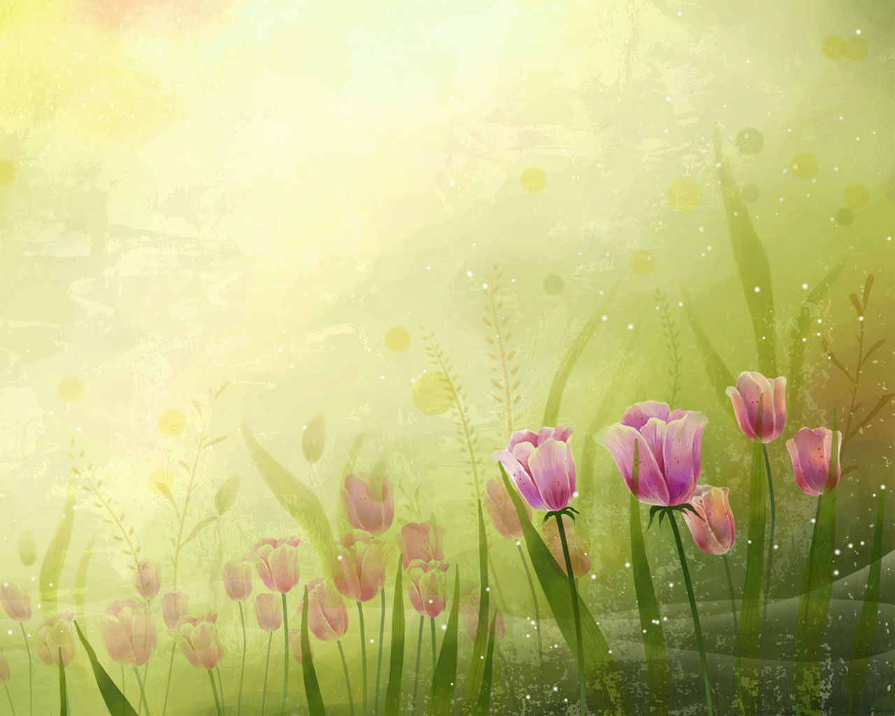 New Floral Wallpaper Feb Screensavers And Background