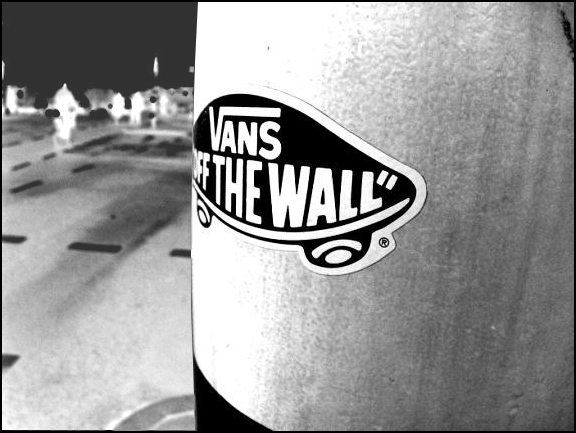 Vans Off The Wall By Shutters
