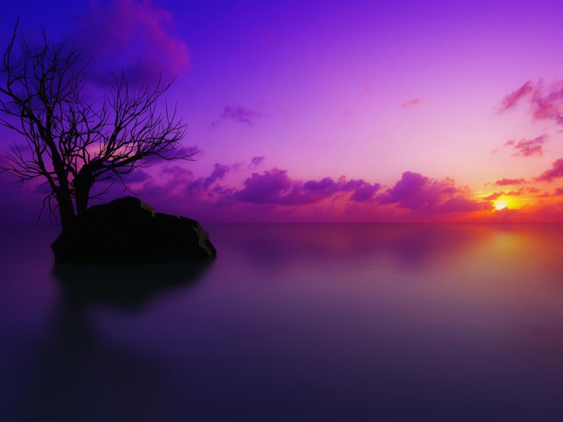 Pink and Purple Fog Sunset Cool Wallpapers
