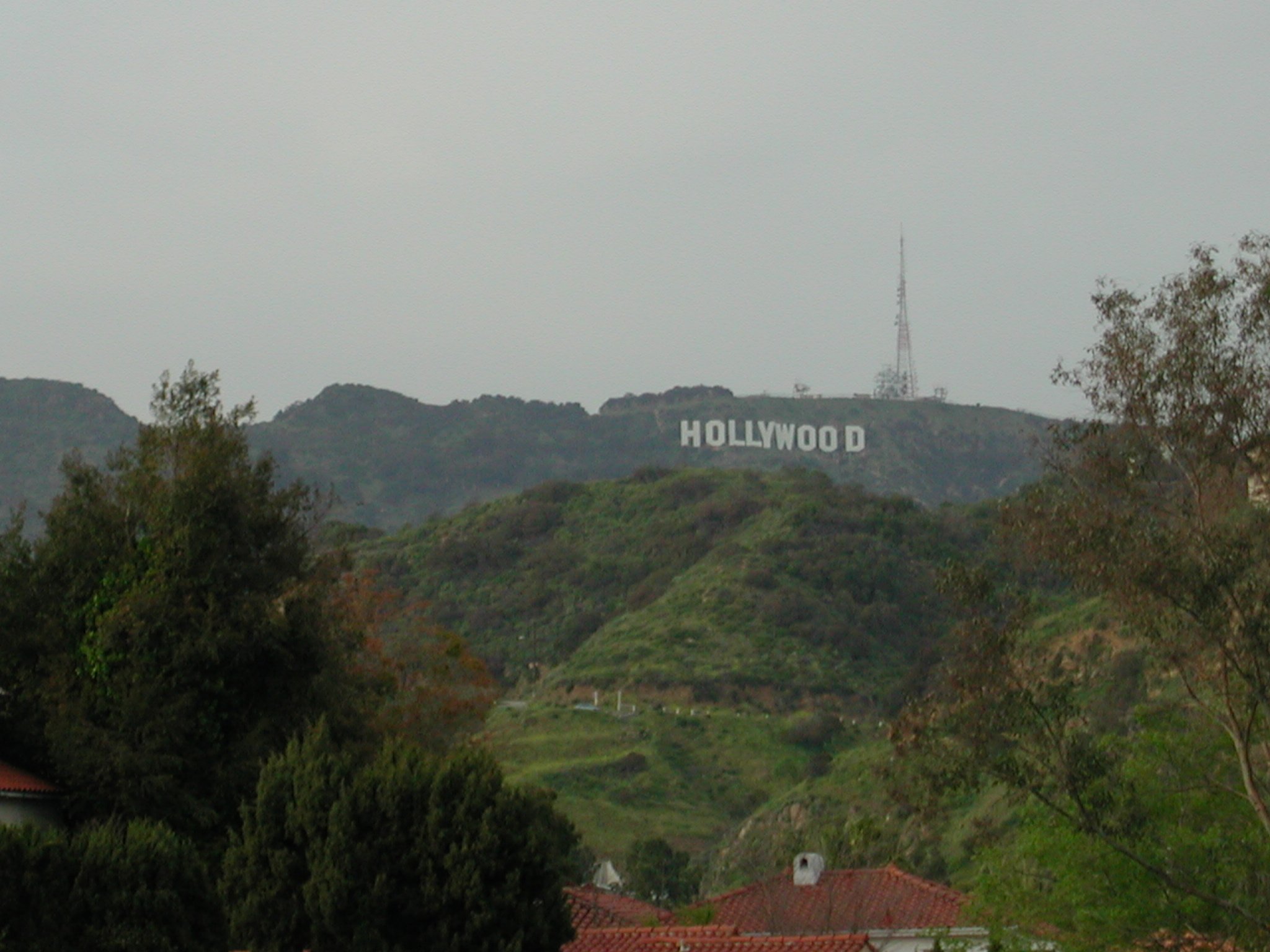Of The Hollywood Sign That Didn T Really Fit In With