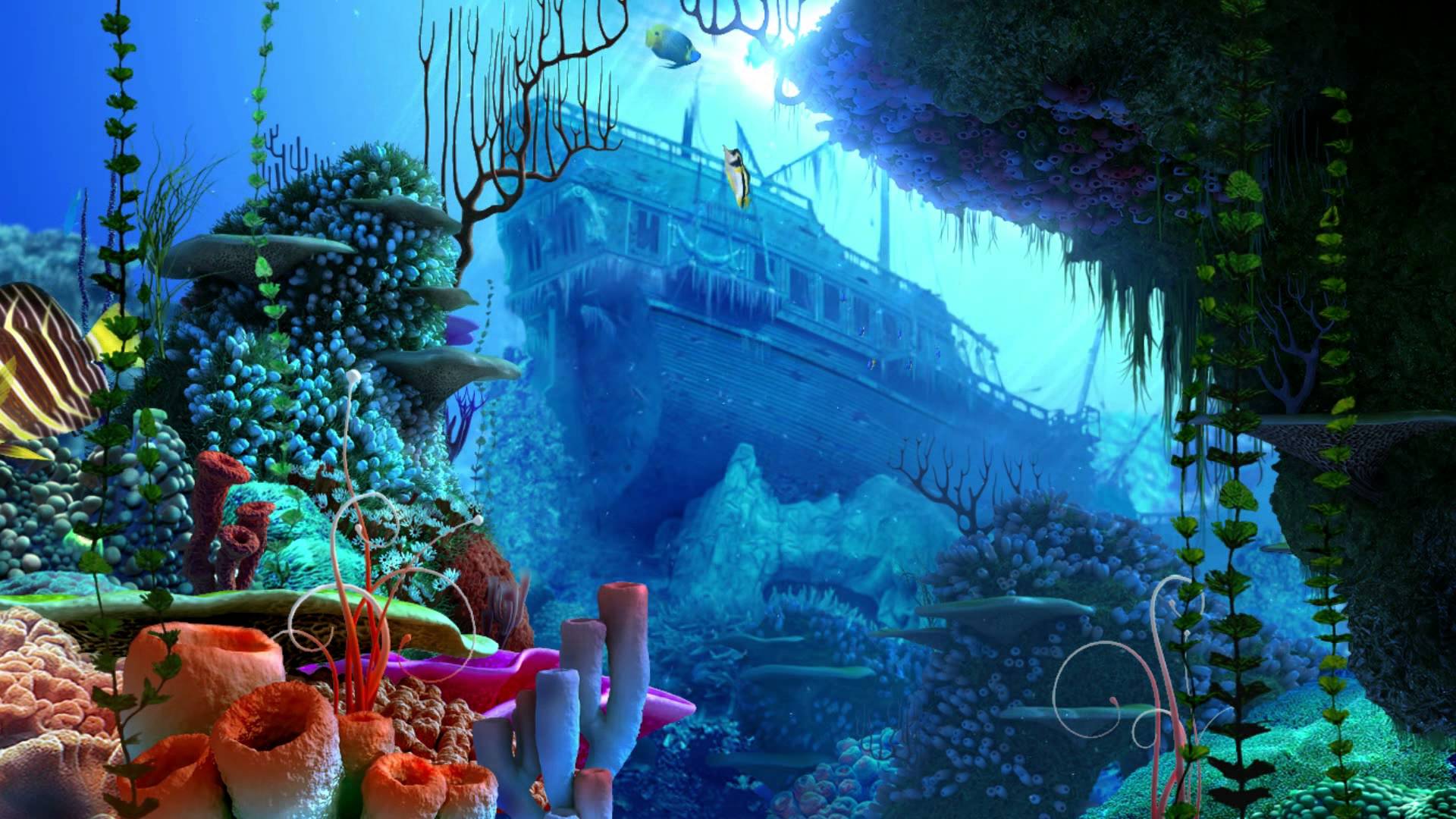 1080p Aquarium HD Wallpaper