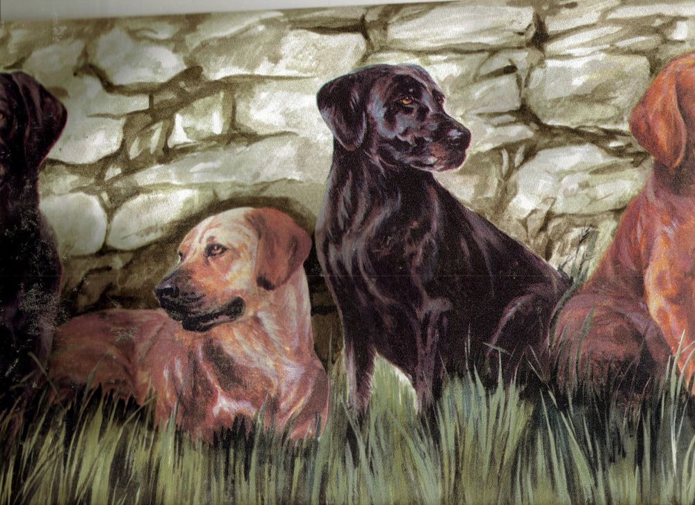 Free download Labrador Hunting Dogs in The Field Waiting Wallpaper