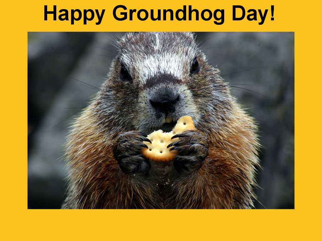 Happy Gh Groundhog