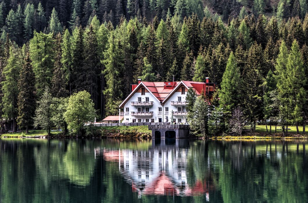 Beautiful Building Chalet Conifers Daylight Dock Forest Garden