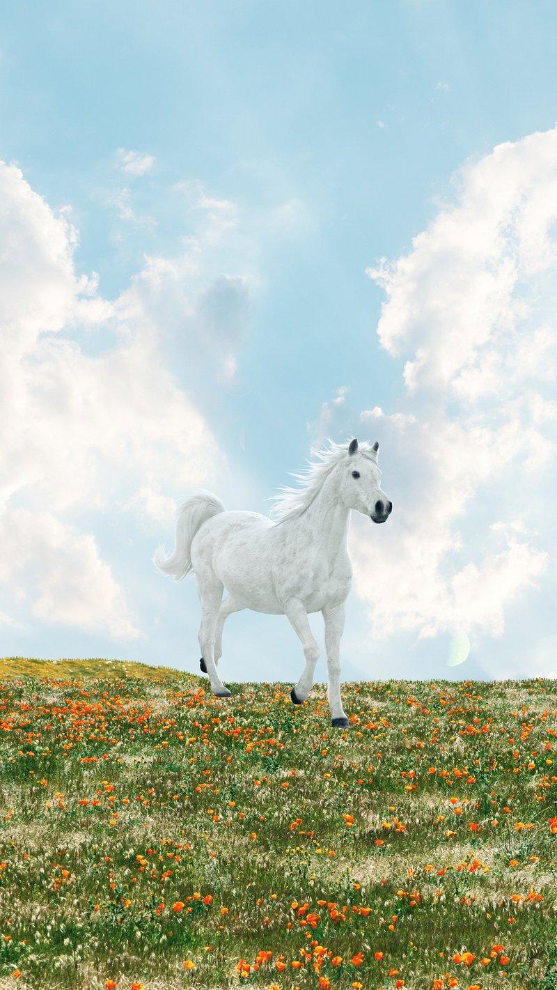 Horse Wallpaper Image Photos Png Stickers