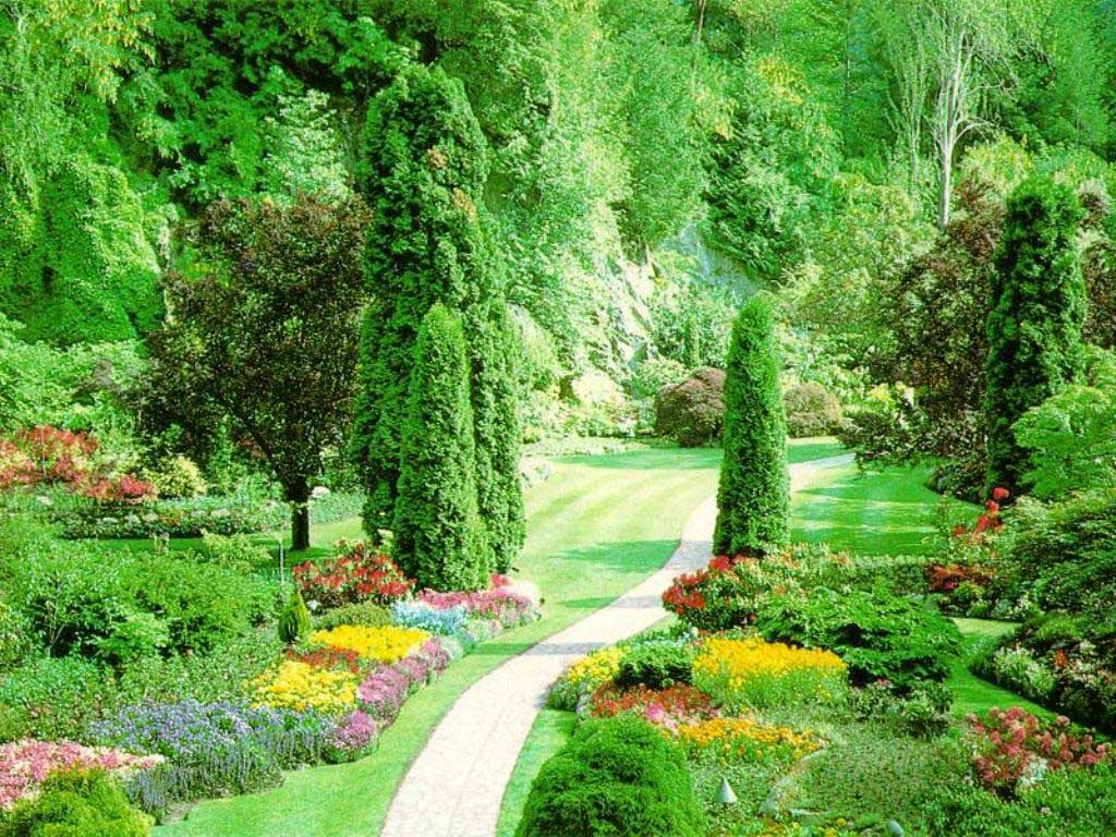 Beautiful Nature Wallpaperhd Wallpaper