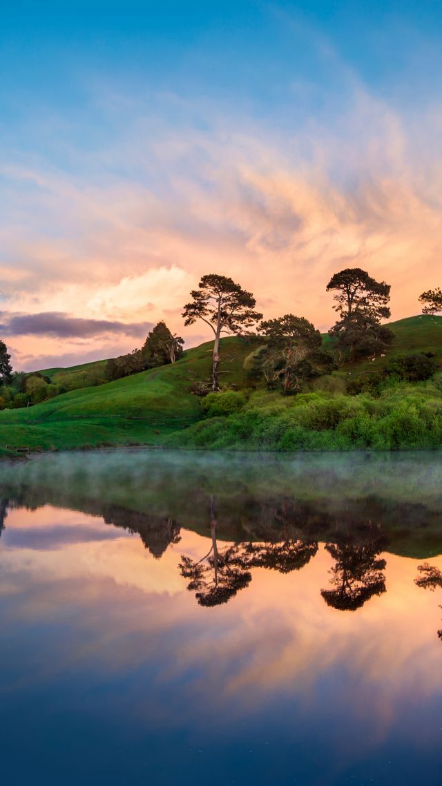 New Zealand River Trees 5k Vertical Sunset iPhone Wallpaper