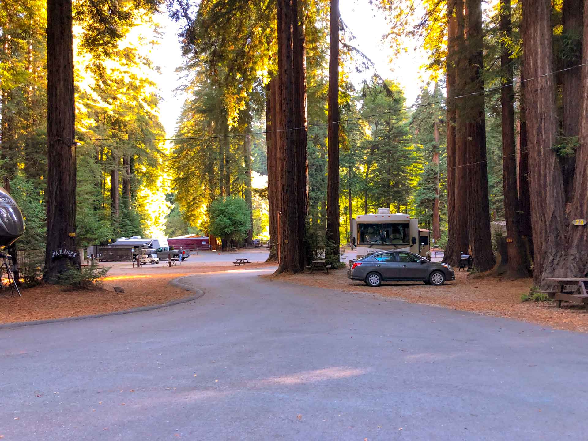 Santa Cruz Redwoods Rv Resort Roadside Secrets