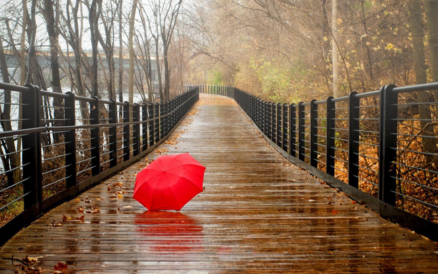 Rainy Day HD Wallpapers
