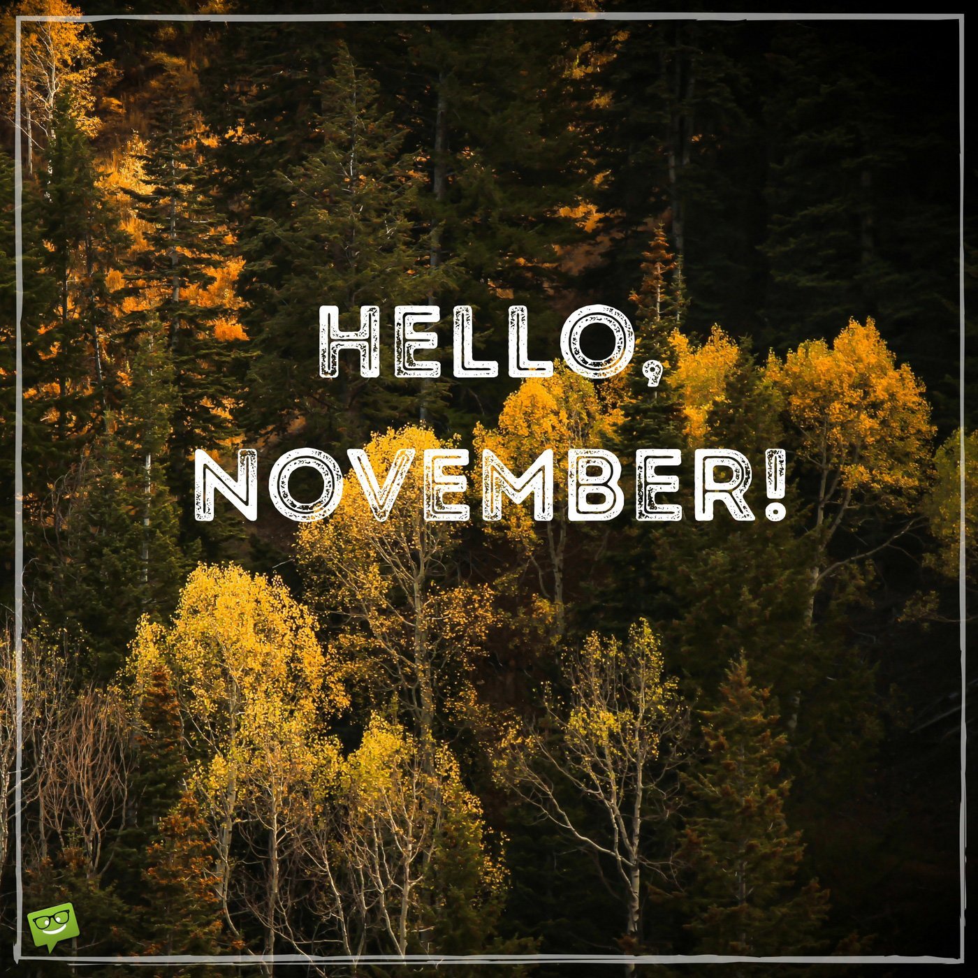 Hello November HD Wallpaper