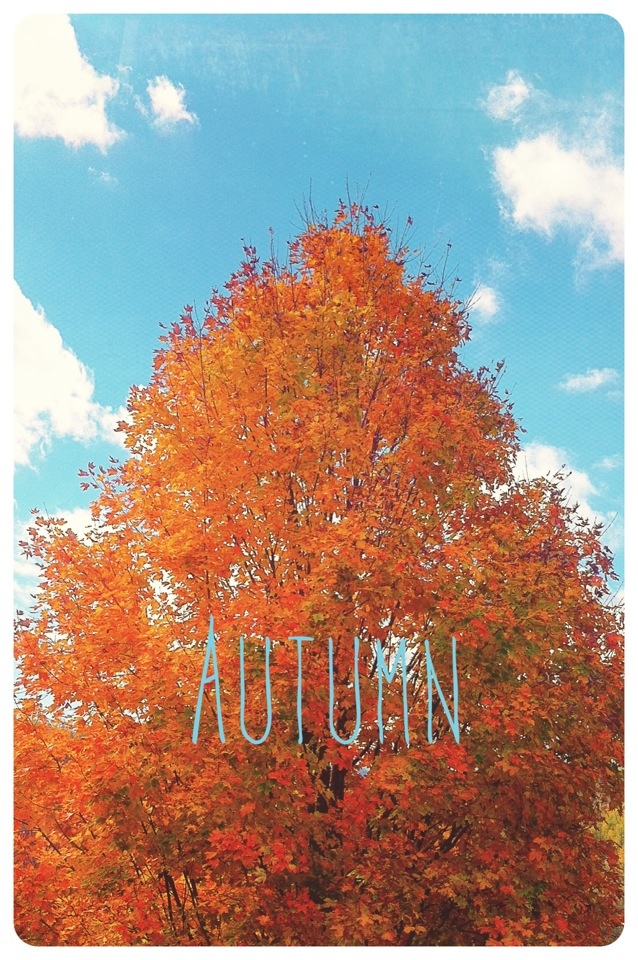 Autumn iPhone Wallpaper Pictures