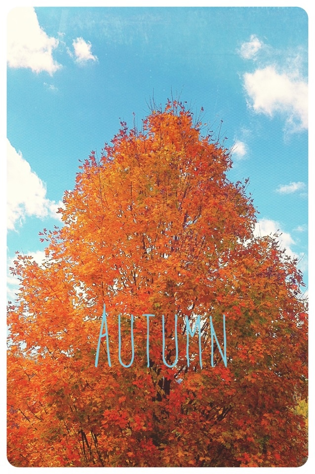 Autumn Iphone Wallpaper Pictures