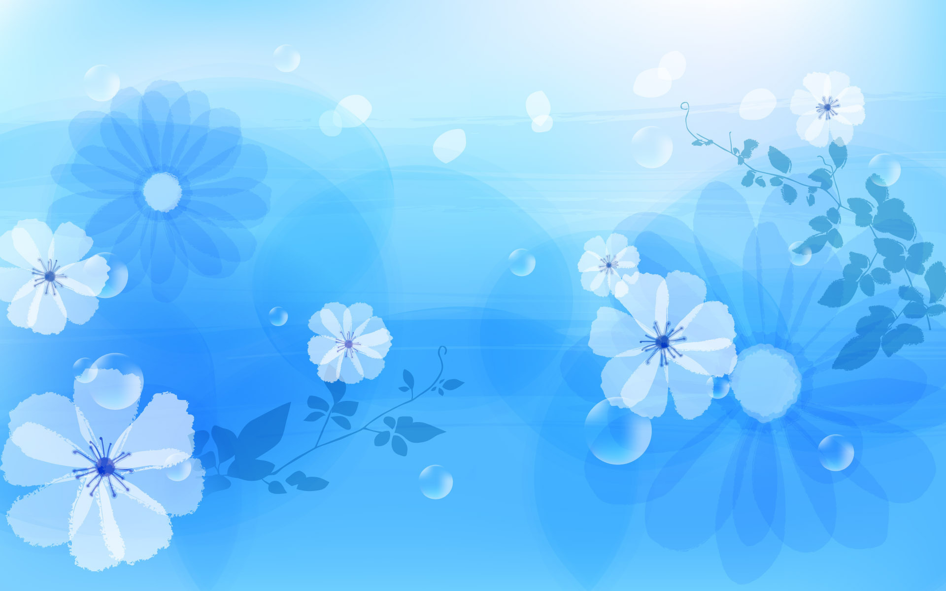 Flower On Blue Wallpaper Desktop