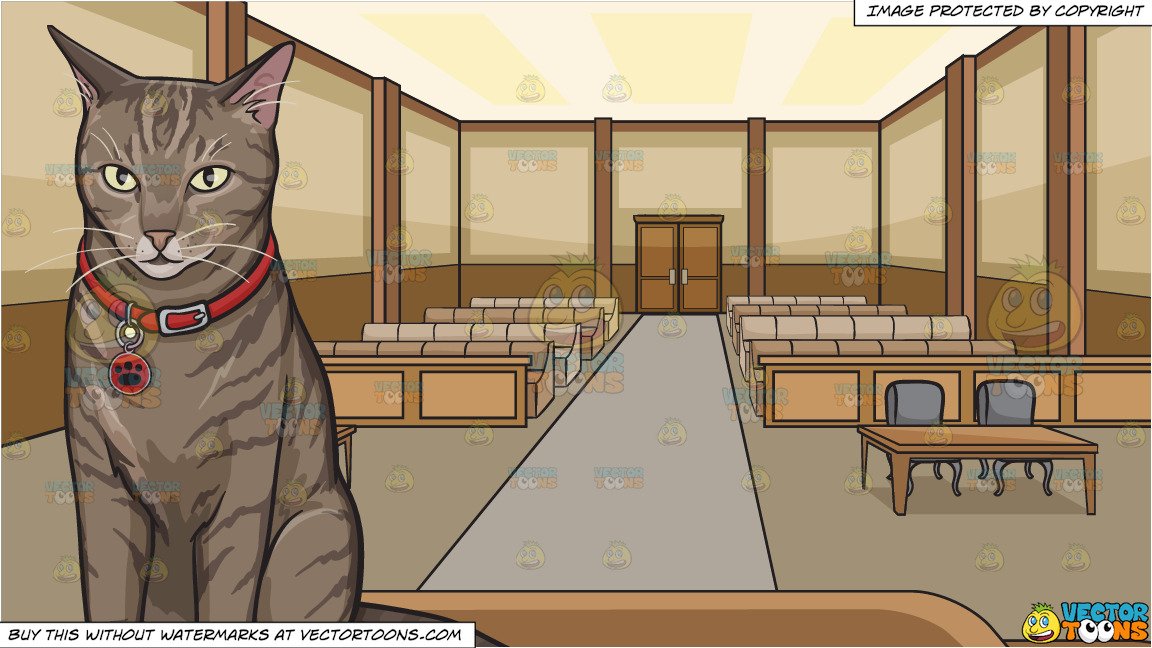 A Cat With Red Collar And Inside Courtroom Background