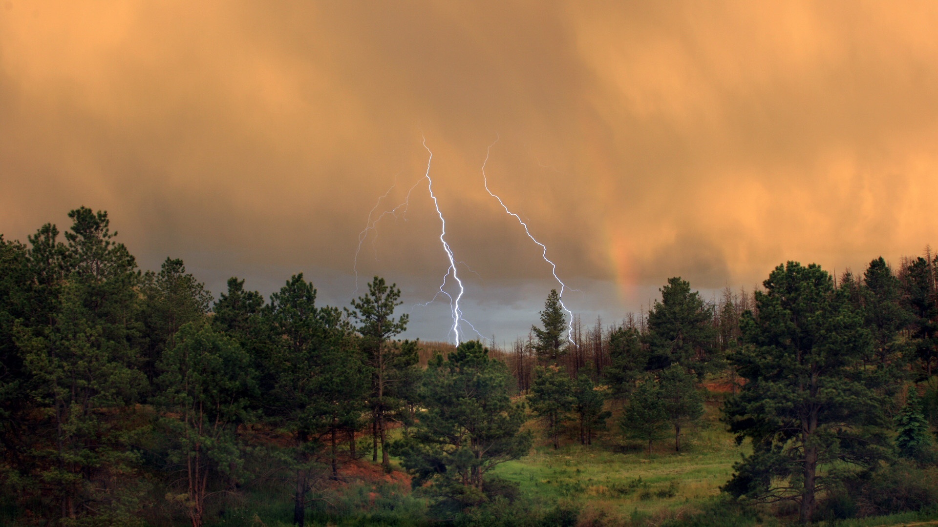Forest Lightning Storm Summer Nature Wallpaper HD