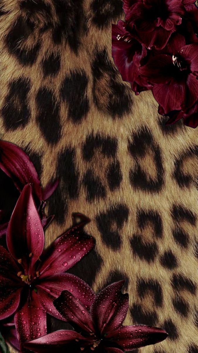 Cheetah Print Aesthetic Wallpaper