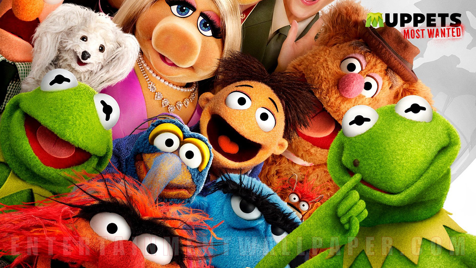 Muppets Most Wanted Wallpaper Size More