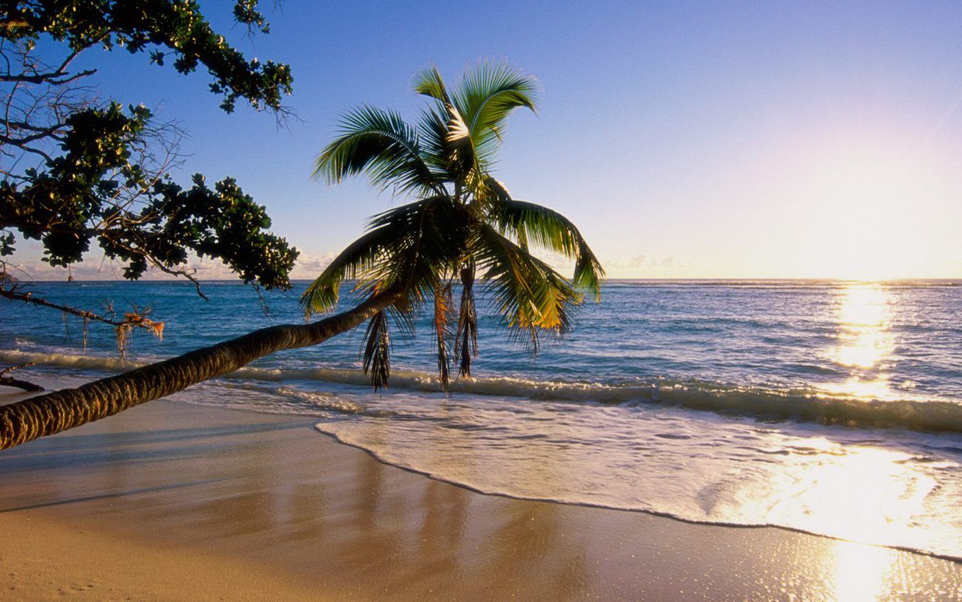 Tropical Island beaches island sunset tropical 129772