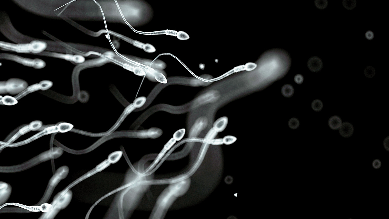Men S Sperm Count Down Significantly Study Finds Howstuffworks