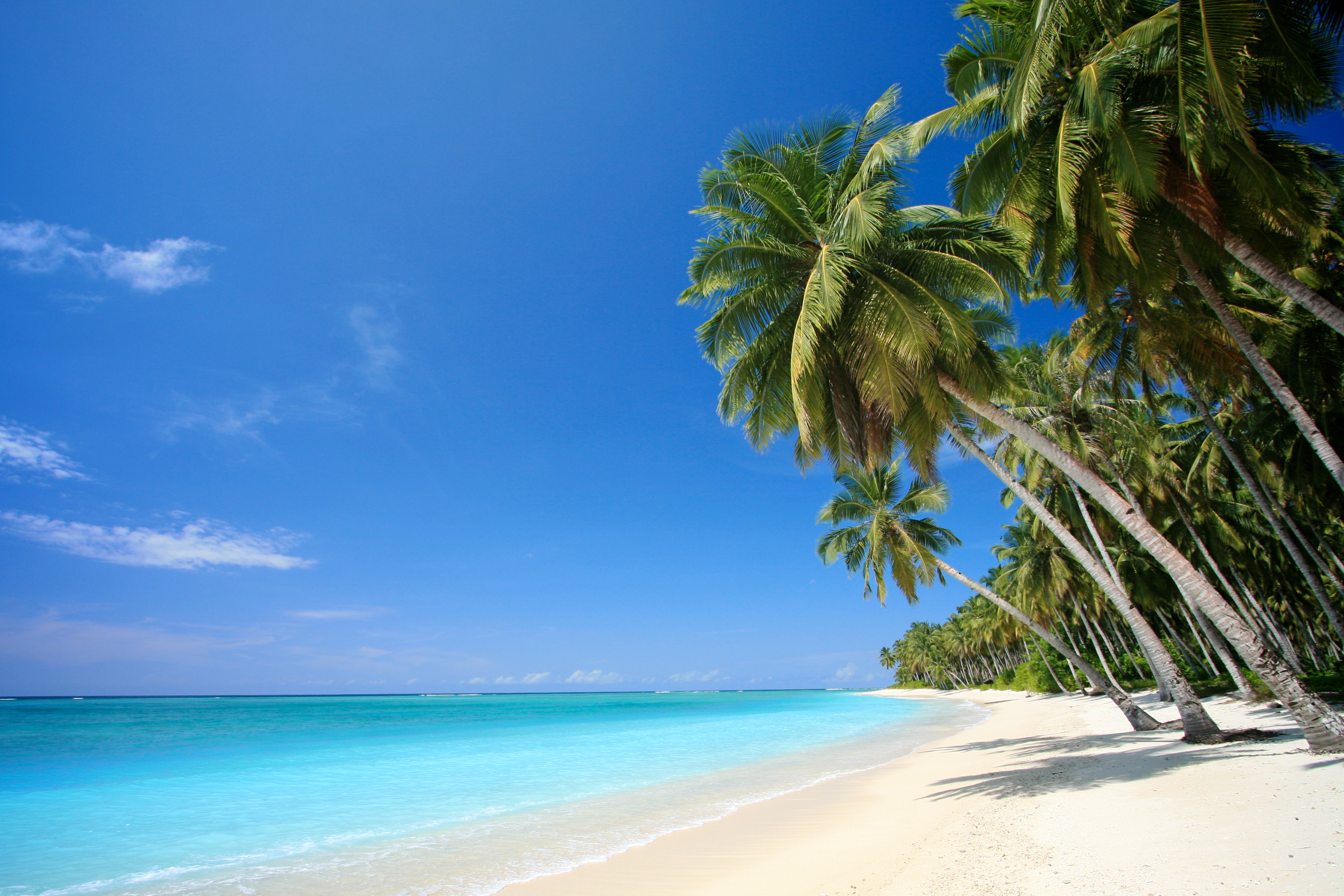 Wallpaper Tropical Beach Screensaver HD Background Desktop