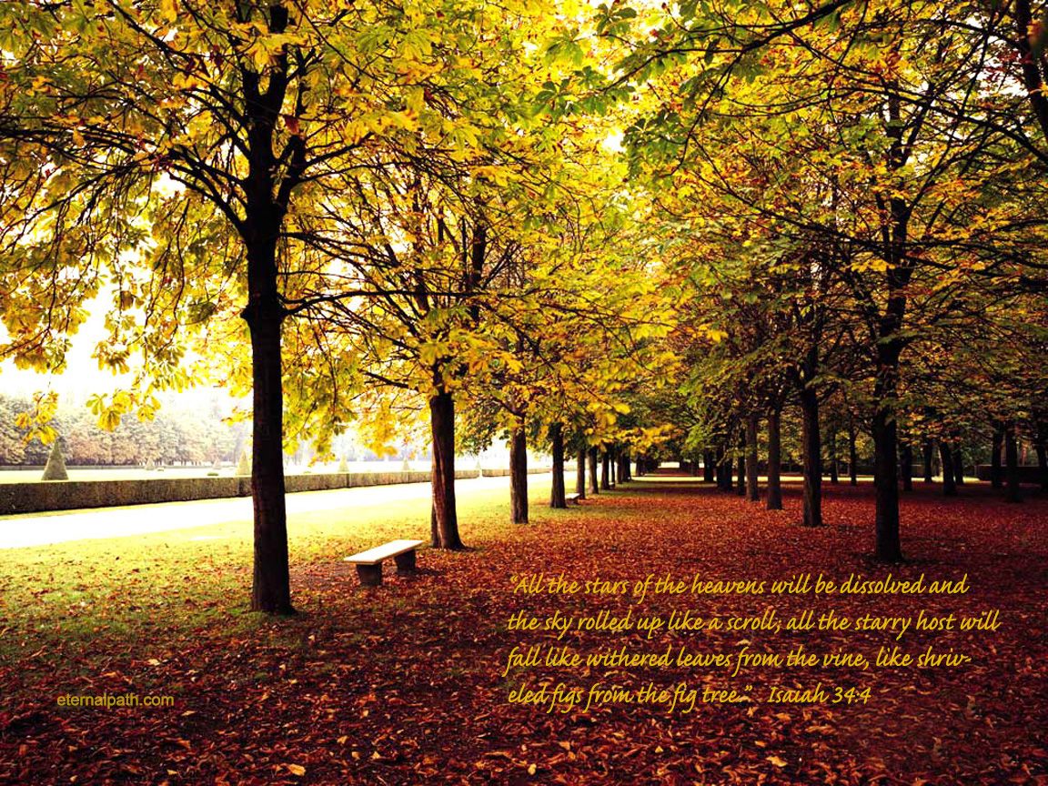 Fall Autumn Desktop Wallpaper Screensaver